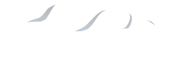 Tennent Group: Accelerating National Defence